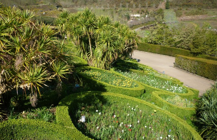Wild Flower Beds at the Eden Project - H Crawfor/CrawCrafts Beasties