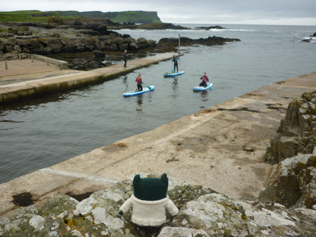 Paddy Watches the Paddleboarders - North Antrim Coast - H Crawford/CrawCrafts Beasties